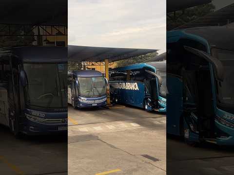GARAGEM DA ÁGUIA BRANCA EM CARIACICA - ES #viagemdeonibus #onibus #aguiabranca #marcopolo #shorts