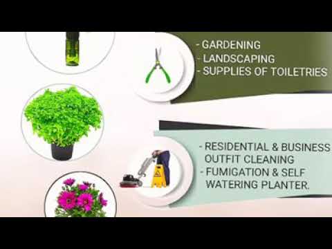 Self watering glass potter