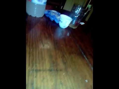 Stuel  Entrando al juego freestyle 2017 #1