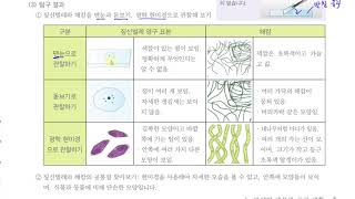 [초등과학 5-1 무료강의] 5. 다양한 생물과 우리 생활 ③ 짚신벌레와 해캄에는 어떤 특징이 있을까요?