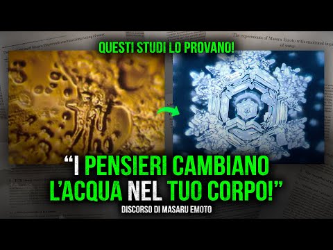 anteprima video