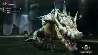 装備完成したから調子に乗ってランディープ行ってみた ＃29【MH3G/HD】