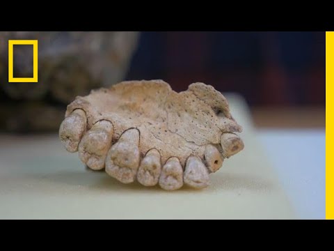 Oldest Human Fossil Outside Africa Discovered in Israel