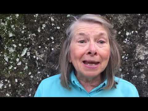 Play Video Youtube Video