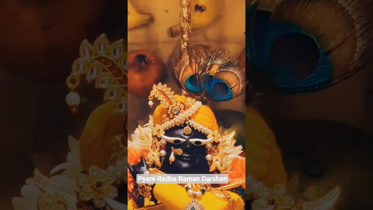 राधा रमण जी के अद्भुत दर्शन | Radha Raman Darshan Today Vrindavan#shorts