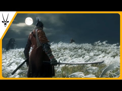 The Pros and Cons of Sekiro: Shadows Die Twice