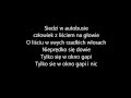 Elektryczne Gitary - Człowiek z liściem (tekst) 