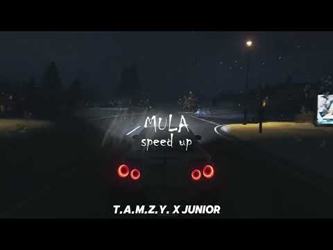 T.A.M.Z.Y. X JUNIOR - MULA speed up