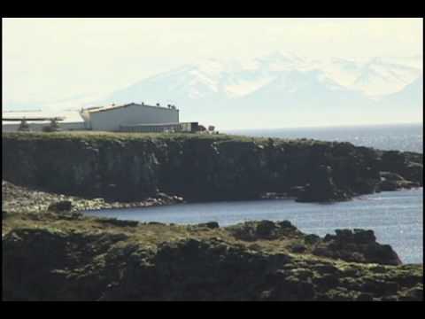 Imagine living here. Grimsey, an Arctic island in Iceland