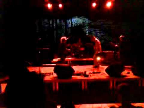 Daevid Allen - University of Errors