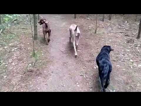 WhatsApp Video 2021 09 13 at 3 06 29 PM abby