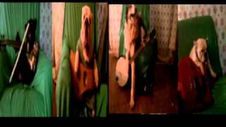 Download lagu Blue Grass Dog Band mp3