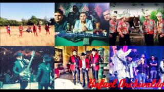 Si Quiere Salir Que Salga - Ariel Camacho Y Los Plebes De Rancho Ft. 5 Artistas Mas