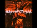 Heaven Shall Burn - The Chaos Before
