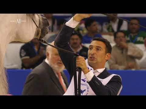 Arabian Horse Magazine - ES HARIR PROMO 2019 - Al Saqran Stud