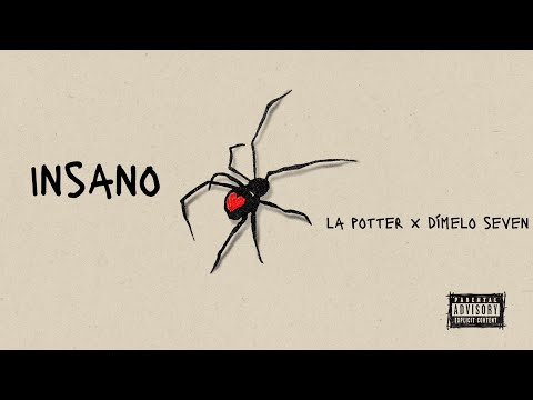 LA POTTER - INSANO x  @DimeloSeven  (AUDIO OFICIAL)