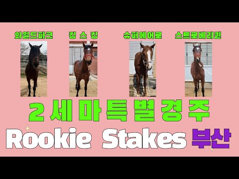 8/17-일요-강태성-2세마 특별경주(Rookie Stakes@영남 출전마 분석)