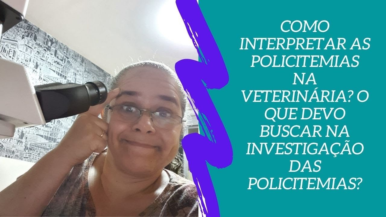 Como interpretar as POLICITEMIAS na Veterinária? O que devo buscar na investigação das policitemias?