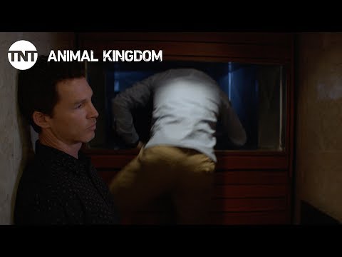Animal Kingdom: Forgive Us Our Trespasses - Season 2, Ep. 5 [CLIP] | TNT