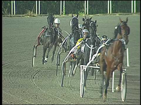 Trotto 11/10/2016 - 8ª corsa