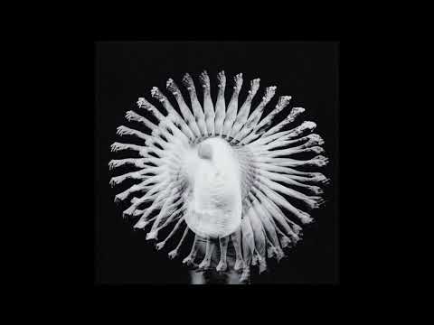 FREE HARD | TRAVIS SCOTT X DENZEL CURRY TYPE BEAT | "CAROUSEL" | JID TYPE BEAT | TRAP INSTRUMENTAL