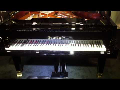 NAMM 2011 The Ghost of Marian Petrescu at the Bosendorfer piano booth