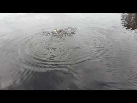 Fin regnbåge på streamer i Krokegöl Kosta