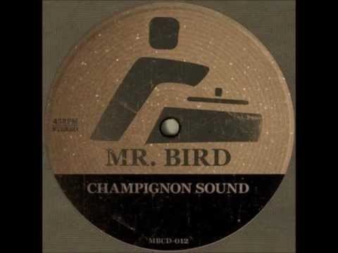 Mr Bird - Keep On (Supafly)