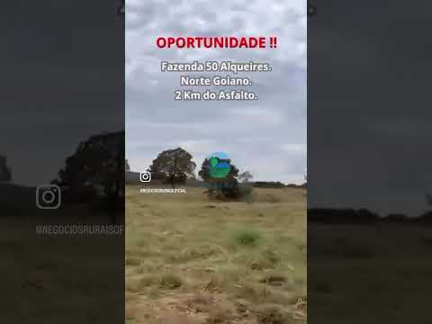 Fazenda 50 Alqueires.  Campinorte-GO.