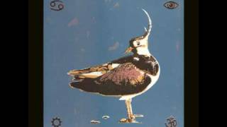 Lamp o.t.universe-as we unfold in the skies