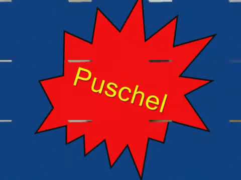 Katzenhaus Katzenschutzgruppe Winterhude 05 05 2007