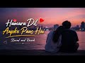 ️ Hamara Dil Aapke Paas Hai Slowed Reverb Peaceful Lofi Vibes
