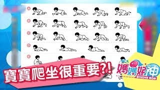 [寶寶] 八個月寶寶爬行不用膝蓋