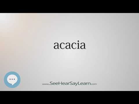 acacia (Every English Word Pronounced) 📕🔊🗣️😎✅