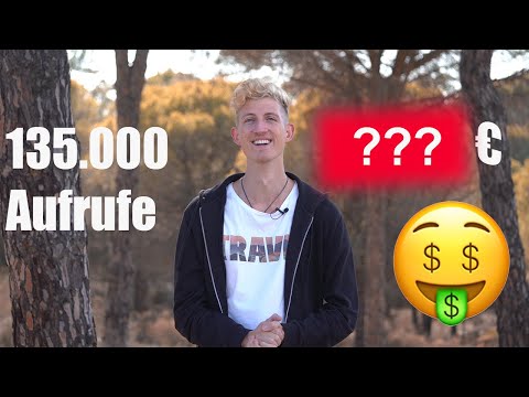 All meine YOUTUBE-EINNAHMEN mit 135.000 Klicks! Wie viel verdient ein kleiner Youtuber? | 1000 Abos