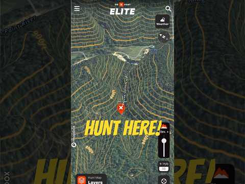 Why Bucks LOVE This Spot (Thermal Hub Hunting Tip)