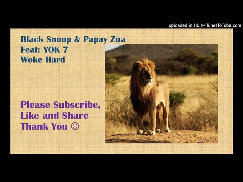 Black Snoop & Papay Zua Ft YOK 7 - Woke Hard