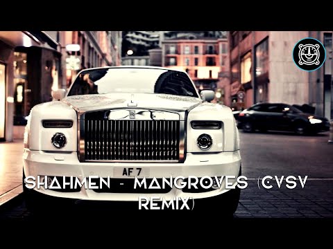 Shahmen - Mangroves (CVSV Remix)