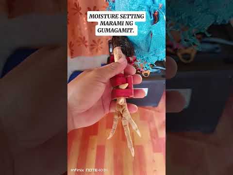 Moisture setting,, full video. 