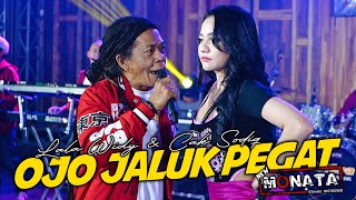 Download lagu Lala Widy & Cak Sodiq Ft New Monata - Ojo Jaluk Pegat ( GK Musik Performance Video) mp3 Download lagu Lala Widy & Cak Sodiq Ft New Monata - Ojo Jaluk Pegat ( GK Musik Performance Video) mp3