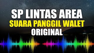 Download lagu SP LINTAS AREA ORIGINAL | SUARA BURUNG WALET TERBARU 2022 mp3