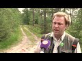 Staatsbosbeheer gaat strenger controleren op 'wolftoeristen'