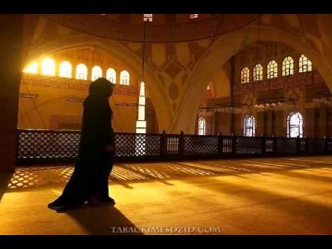 prof. Sabaheta Ćeman - Uzorite ashabijke