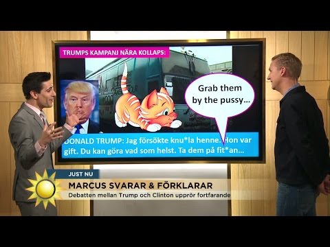 Kattägarna rasar mot Trump - Nyhetsmorgon (TV4)