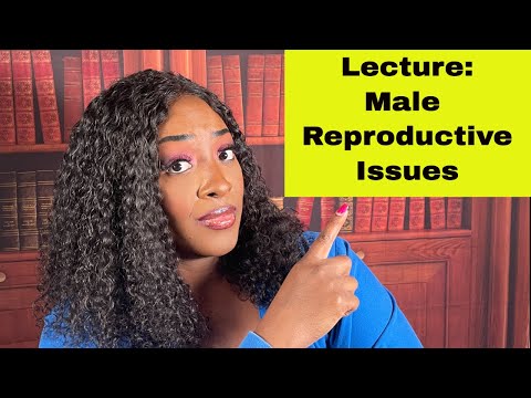 Male Reproductive Issues