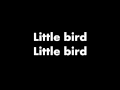The Weepies - Little Bird (with lyrics)