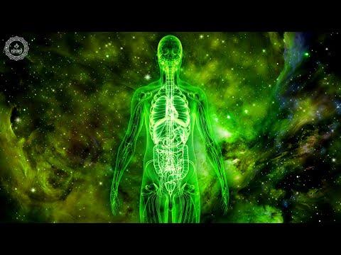 Heal Your Brain Heart Lungs Liver And Kidneys | Increase Body's Strength And Stamina | 285 Hz Music