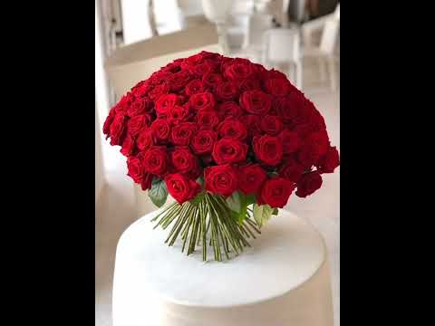 SKOCZEK ŁDZ, DENIS SKW, KOZA NMW, ANEK OSS - 26.05