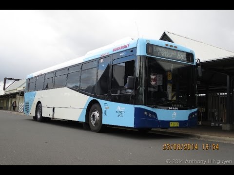 Busabout [Smeaton Grange] MAN A69 18.320 HOCL-R-NL / Bustech VST Mk IV, m/o 6114