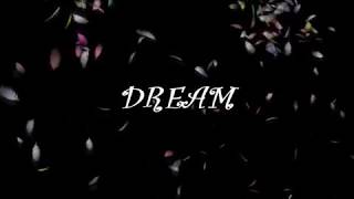 CAT POWER - DREAMS - LYRICS - Everly Brothers&#39; Cover